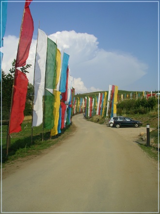 SANY0961
