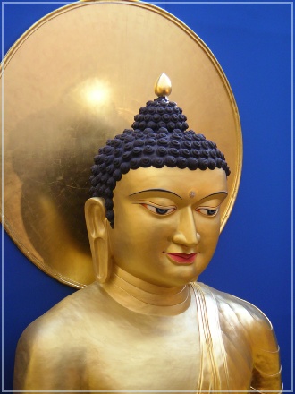 SANY0980